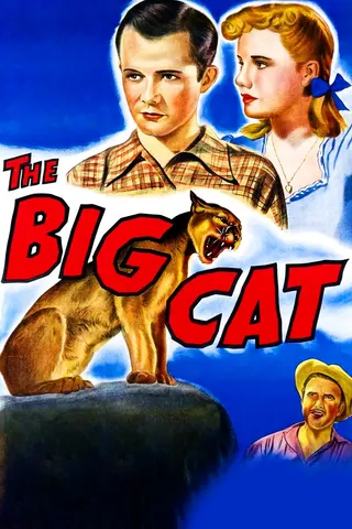 The Big Cat afişi