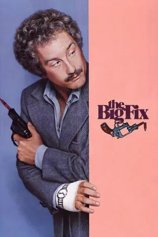The Big Fix afişi