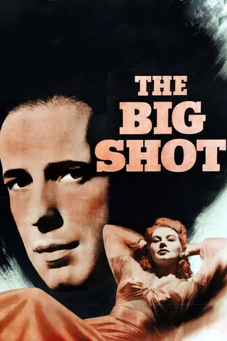 Görsel: TMDB The Big Shot afişi