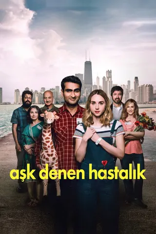 Görsel: TMDB The Big Sick afişi