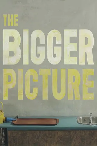 The Bigger Picture afişi