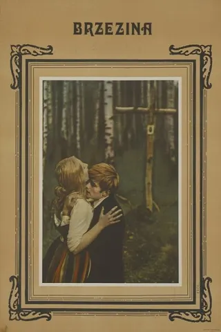 The Birch Wood afişi