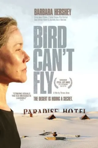 The Bird Can’t Fly afişi