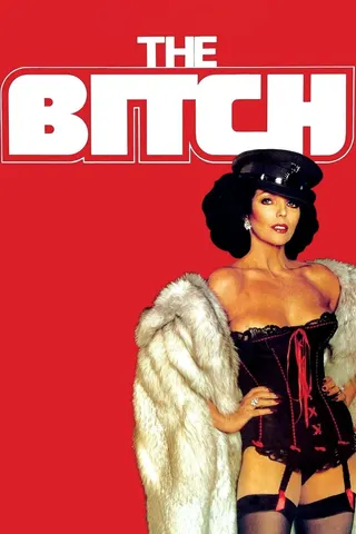 The Bitch afişi