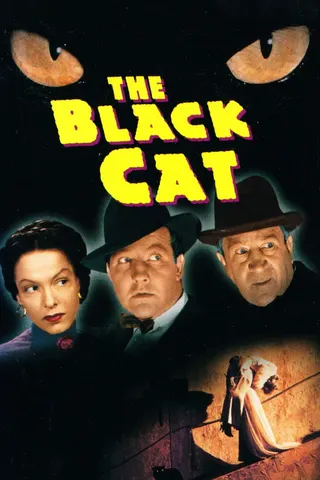 Görsel: TMDB The Black Cat afişi