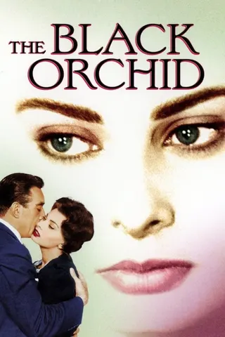 The Black Orchid afişi