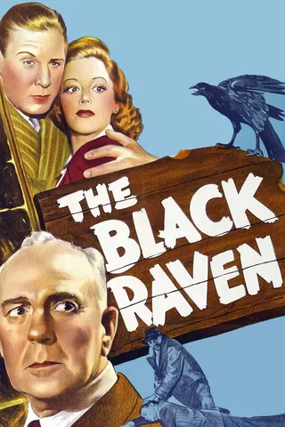 Görsel: TMDB The Black Raven afişi