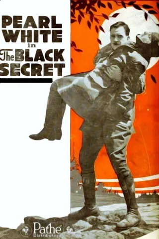 Görsel: TMDB The Black Secret afişi