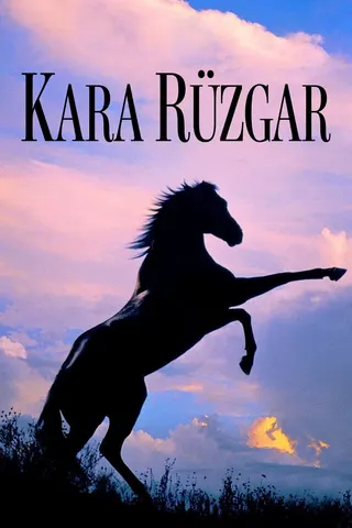 The Black Stallion afişi