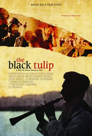 The Black Tulip afişi