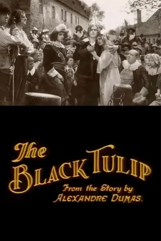 Görsel: TMDB The Black Tulip afişi
