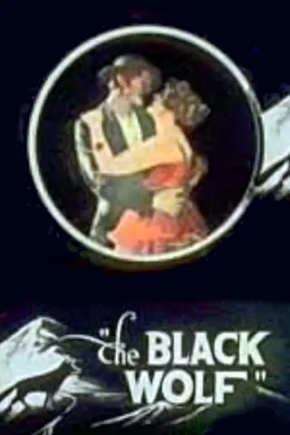 Görsel: TMDB The Black Wolf afişi