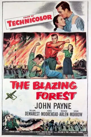 Görsel: TMDB The Blazing Forest afişi