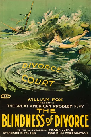 The Blindness of Divorce afişi