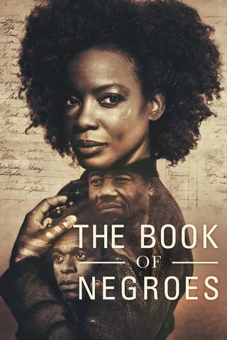The Book of Negroes afişi
