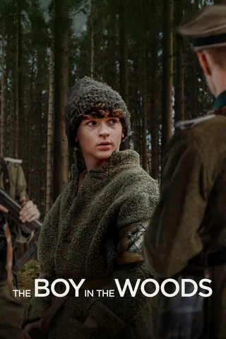The Boy in the Woods afişi