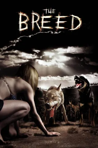 Görsel: TMDB The Breed afişi