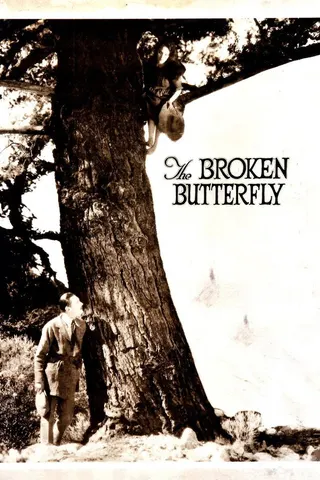 Görsel: TMDB The Broken Butterfly afişi