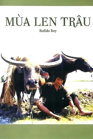 The Buffalo Boy afişi