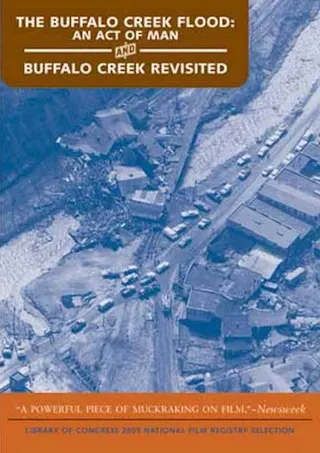 Görsel: TMDB The Buffalo Creek Flood: An Act of Man afişi