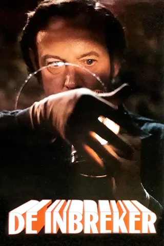 Görsel: TMDB The Burglar afişi