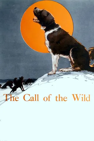 Görsel: TMDB The Call of the Wild afişi