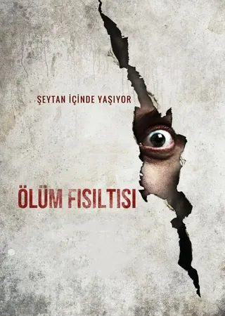 Görsel: TMDB The Canal afişi