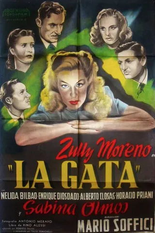 Görsel: TMDB The Cat afişi