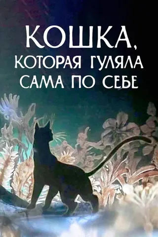 The Cat Who Walked by Herself afişi