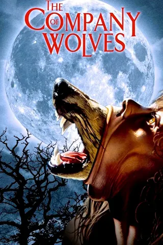 The Company of Wolves afişi