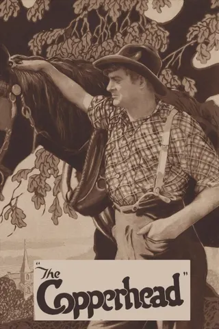 Görsel: TMDB The Copperhead afişi