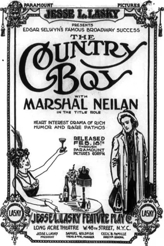 Görsel: TMDB The Country Boy afişi