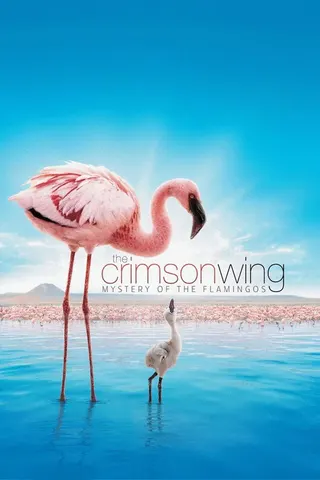 The Crimson Wing: Mystery of the Flamingos afişi