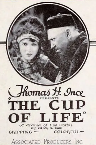 Görsel: TMDB The Cup of Life afişi