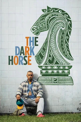 Görsel: TMDB The Dark Horse afişi