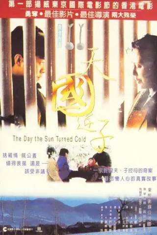 Görsel: TMDB The Day the Sun Turned Cold afişi