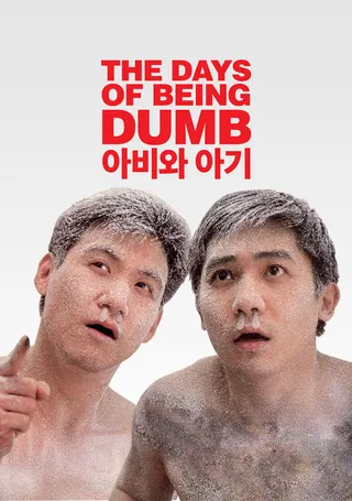 Görsel: TMDB The Days of Being Dumb afişi