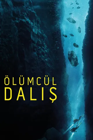 The Dive afişi