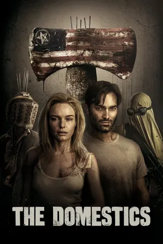 The Domestics afişi