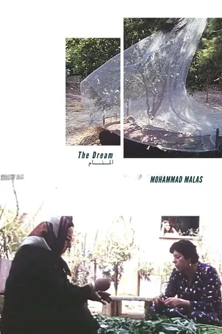 The Dream afişi