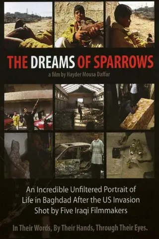 The Dreams of Sparrows afişi