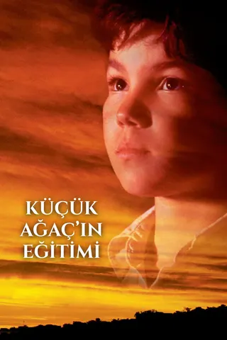 Görsel: TMDB The Education of Little Tree afişi