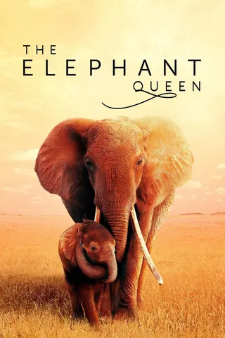 Görsel: TMDB The Elephant Queen afişi
