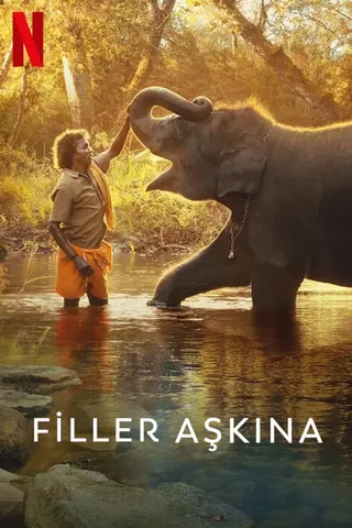 Görsel: TMDB The Elephant Whisperers afişi