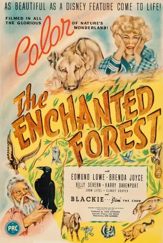 The Enchanted Forest afişi