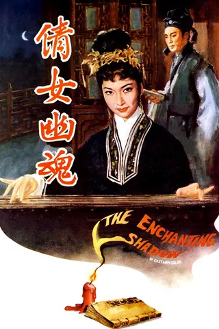 Görsel: TMDB The Enchanting Shadow afişi
