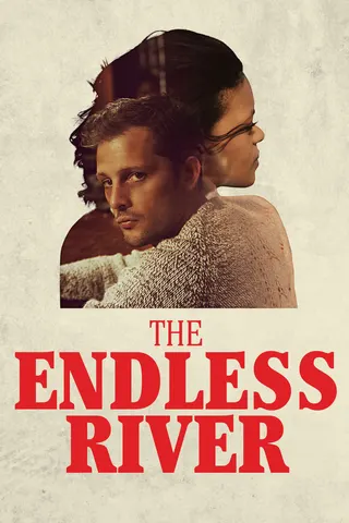 Görsel: TMDB The Endless River afişi