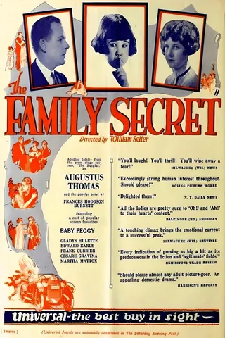 The Family Secret afişi