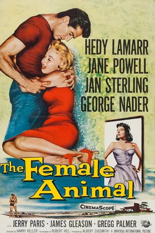 Görsel: TMDB The Female Animal afişi