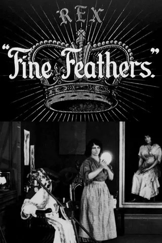The Fine Feathers afişi